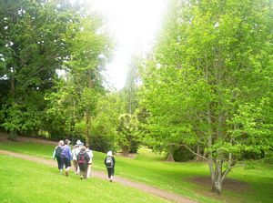 Image of remueranov05waiata3.jpg