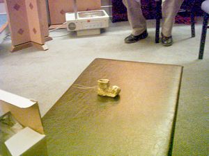 Image of reunion05goldenboot3.jpg