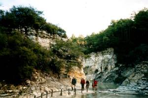 Image of rotorua03alumcliffs2.jpg