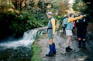 Image of rotorua03kerosenecreek.jpg