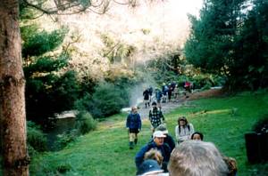 Image of rotorua03kerosenecreek2.jpg
