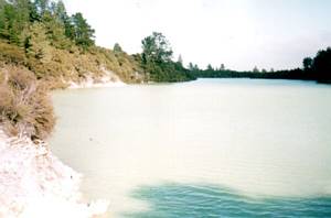 Image of rotorua03lakengakoro.jpg