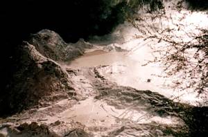 Image of rotorua03mudpool2.jpg