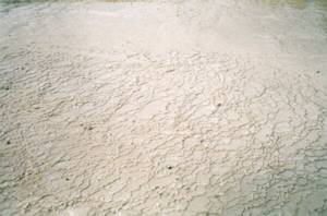 Image of rotorua03silicaminiterraces.jpg