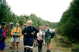 Image of rotorua03theavenue.jpg