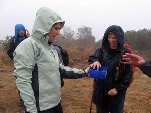 Image of rotorua09cncharsium.jpg