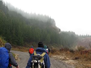 Image of rotorua09eftrack.jpg