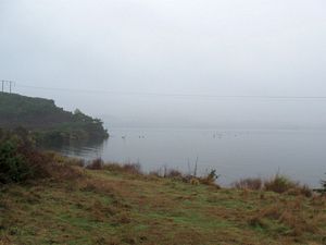 Image of rotorua09eilake.jpg