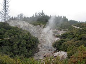 Image of rotorua09hctrack.jpg