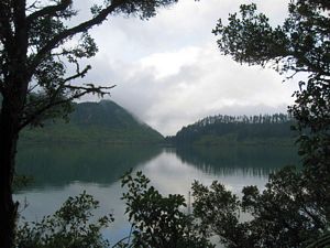 Image of rotorua09igview.jpg