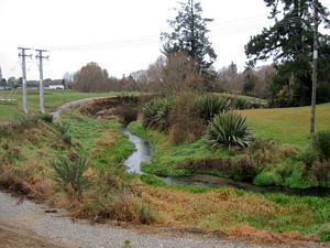 Image of rotorua09nltrack.jpg