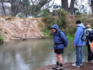 Image of rotorua09nnvelvet.jpg