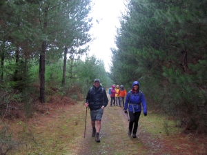 Image of rotorua15b.jpg