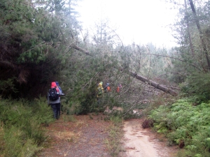 Image of rotorua15c.jpg