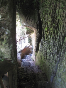 Image of rotorua15l.jpg