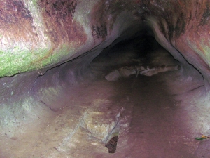 Image of rotorua15m.jpg