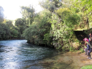 Image of rotorua15p.jpg