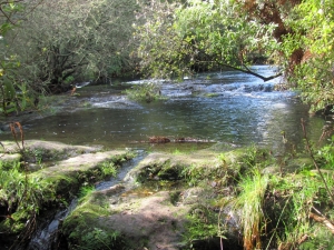 Image of rotorua15q.jpg