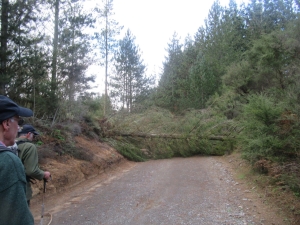 Image of rotoruaaug21d.jpg