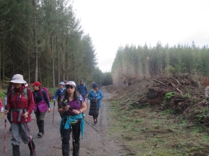 Image of rotoruaaug21g.jpg