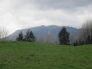 Image of rotoruaaug21i.jpg