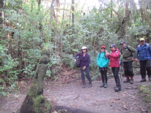 Image of rotoruaaug21o.jpg