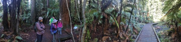 Image of rotoruajul22k.jpg