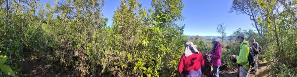 Image of rotoruajul22l.jpg