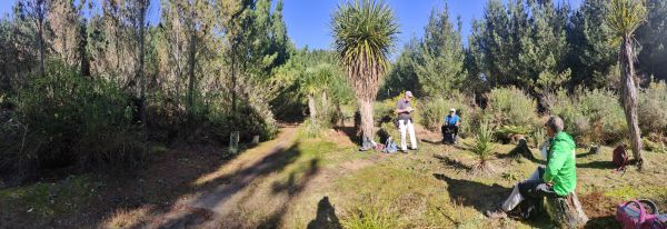 Image of rotoruajul22p.jpg