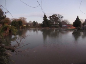 Image of rotoruajul26a.jpg