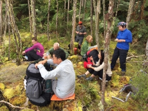 Image of rotoruaoct16zi.jpg