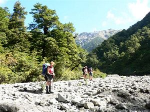 Image of ruahinesapr07a.jpg