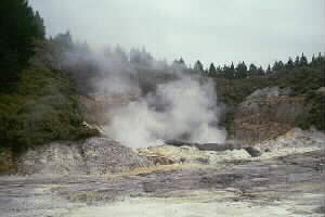 Image of ruahinesprings2q.jpg