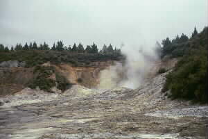 Image of ruahinesprings3q.jpg