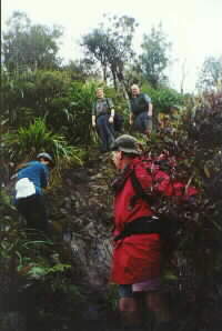 Image of ruapaneroyalq.jpg