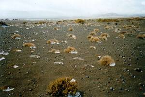 Image of ruapehu022aftersnowstorm3.jpg