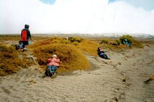 Image of ruapehu022llunch2.jpg