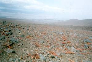 Image of ruapehu02beforerangipohut.jpg
