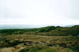 Image of ruapehu02mangaehuehuhutview.jpg