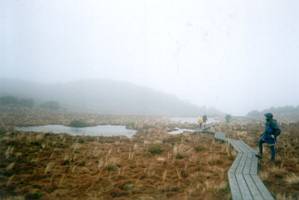 Image of ruapehu02rotokawatarns.jpg