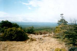 Image of ruapehu02trackpastmangaheuheuview.jpg