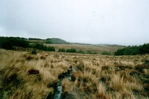 Image of ruapehu02tracktomangaehuehu.jpg