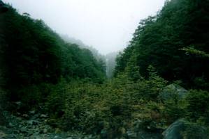 Image of ruapehu02waitongafalls2.jpg