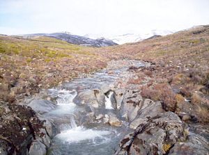 Image of ruapehueasy05satstreamonwaytofalls.jpg