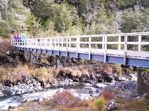 Image of ruapehueasy05sunrobynbridge.jpg