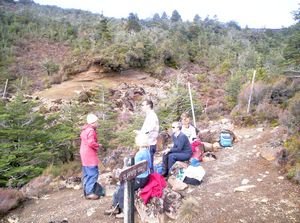 Image of ruapehueasy05sunslipperygully2.jpg