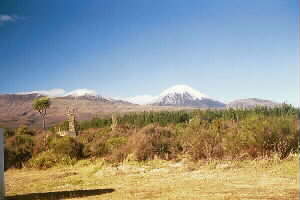 Image of schoolcampngauruhoeq.jpg