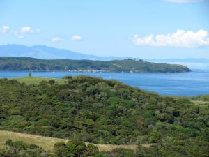 Image of shakespear12d.jpg