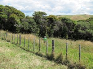 Image of shakespear12e.jpg