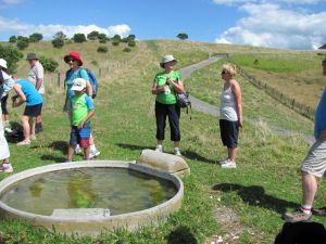 Image of shakespear12h.jpg